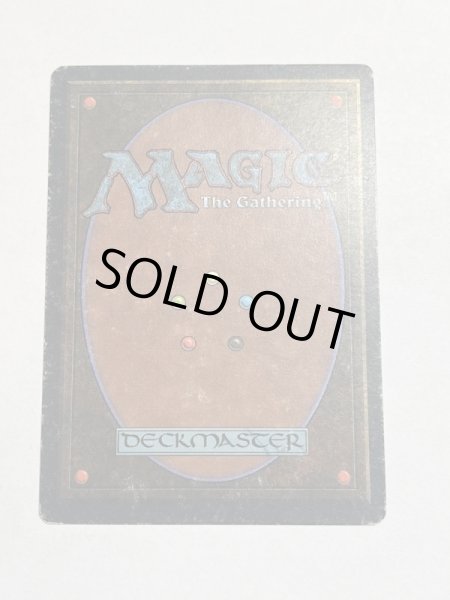 画像6: 《Bazaar of Baghdad》[ARN]  HP (6)