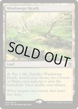吹きさらしの荒野/Windswept Heath》[KTK] - MTG専門店 Initiative