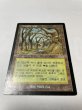 画像1: 韓国語《ガイアの揺籃の地/Gaea's Cradle》[USG] HP (1)