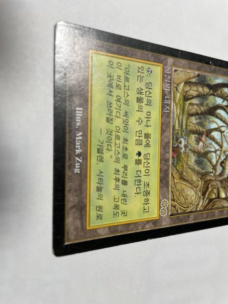 画像2: 韓国語《ガイアの揺籃の地/Gaea's Cradle》[USG] HP (2)