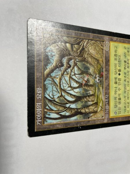 画像3: 韓国語《ガイアの揺籃の地/Gaea's Cradle》[USG] HP (3)