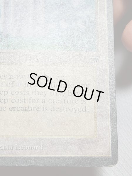 画像5: 《The Tabernacle at Pendrell Vale》[LEG] HP (5)