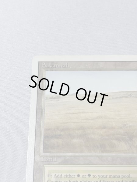 画像2: 《Savannah》[3ED] MP (2)