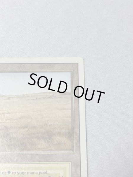 画像3: 《Savannah》[3ED] MP (3)