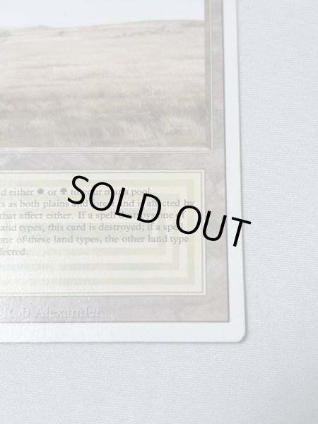 画像5: 《Savannah》[3ED] MP (5)