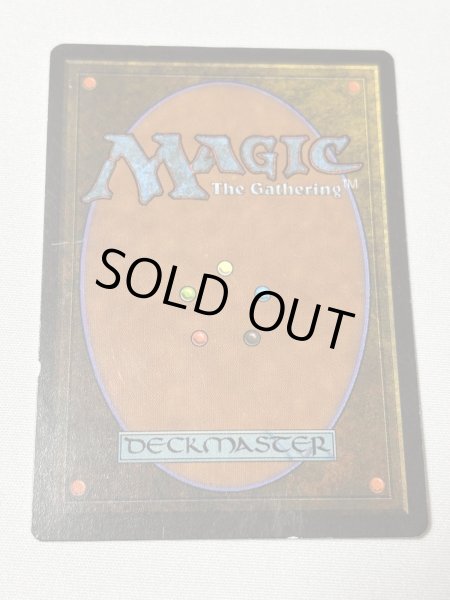 画像6: 《Savannah》[3ED] MP (6)