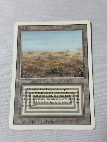 画像1: 《Scrubland》[3ED] MP (1)
