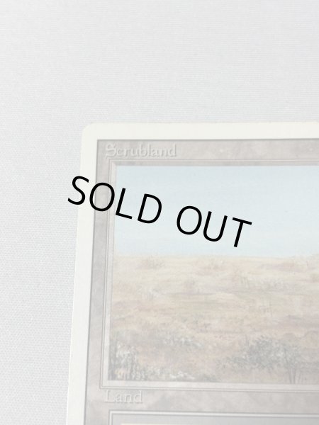 画像2: 《Scrubland》[3ED] MP (2)