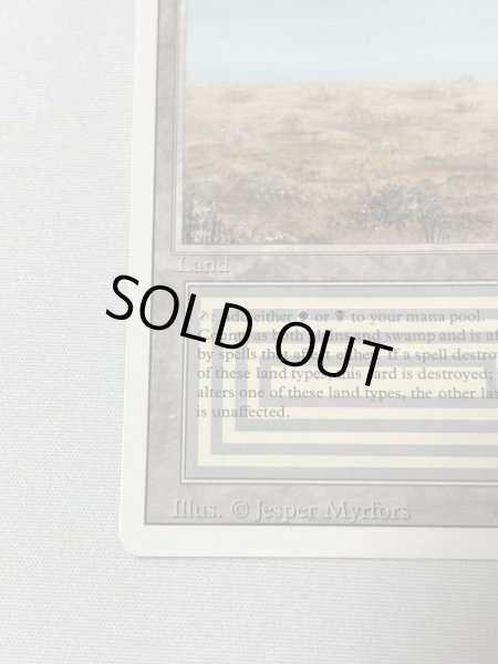 画像4: 《Scrubland》[3ED] MP (4)