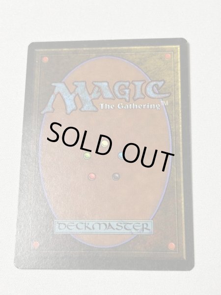 画像6: 《Scrubland》[3ED] MP (6)