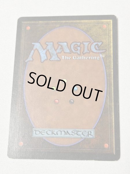 画像6: 《Scrubland》[3ED] MP (6)