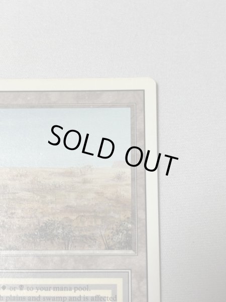 画像3: 《Scrubland》[3ED] MP (3)