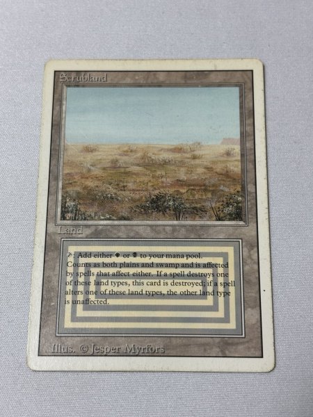 画像1: 《Scrubland》[3ED] HP (1)