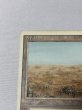 画像2: 《Scrubland》[3ED] HP (2)