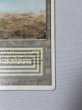 画像5: 《Scrubland》[3ED] HP (5)