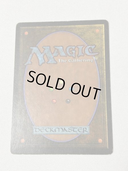 画像6: 《Scrubland》[3ED] HP (6)