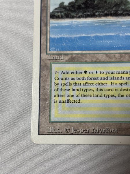 画像4: 《Tropical Island》[3ED] SP (4)