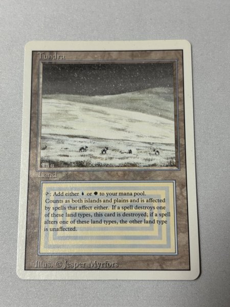 画像1: 《Tundra》[3ED] SP (1)