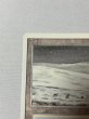 画像2: 《Tundra》[3ED] SP (2)