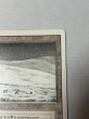 画像3: 《Tundra》[3ED] SP (3)
