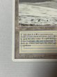 画像4: 《Tundra》[3ED] SP (4)