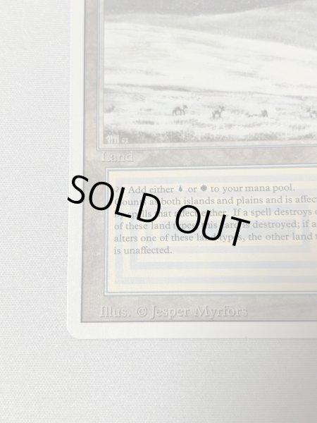 画像4: 《Tundra》[3ED] SP (4)