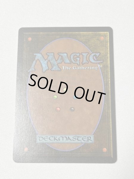 画像6: 《Tundra》[3ED] SP (6)