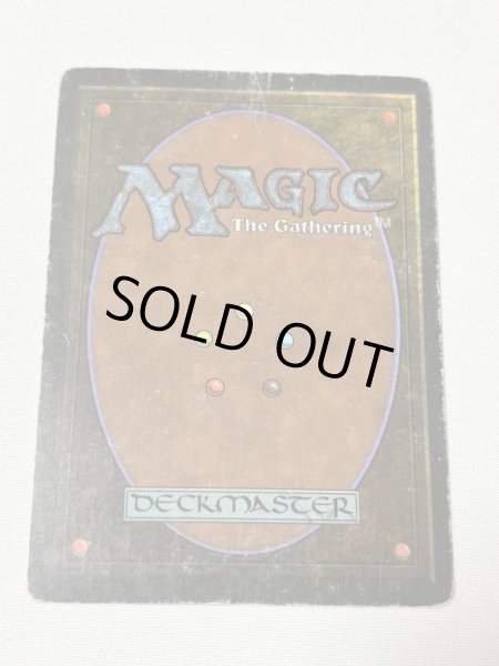 画像6: 《Tundra》[3ED] HP (6)