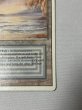 画像5: 《Underground Sea》[3ED] HP (5)