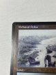 画像2: 【Foil】 《汚染された三角州/Polluted Delta》[ONS] SP+ (2)