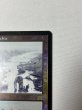 画像3: 【Foil】 《汚染された三角州/Polluted Delta》[ONS] SP+ (3)