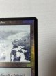 画像3: 【Foil】 《汚染された三角州/Polluted Delta》[ONS] SP+ (3)