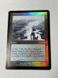画像1: 【Foil】 《汚染された三角州/Polluted Delta》[ONS] SP+ (1)