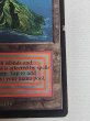画像6: 《Volcanic Island》[LEB] MP (6)