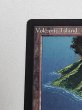 画像2: 《Volcanic Island》[LEB] MP (2)