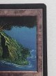 画像3: 《Volcanic Island》[LEB] MP (3)