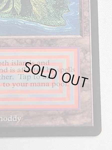 画像6: 《Volcanic Island》[LEB] MP (6)