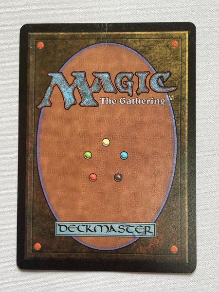 画像3: 《Tundra》[LEB] HP (3)