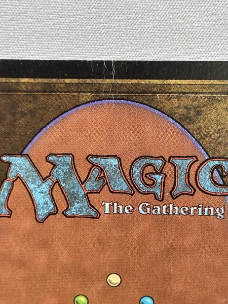 画像4: 《Tundra》[LEB] HP (4)