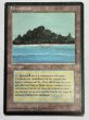 画像1: フランス語《Tropical Island》[FBB] HP (1)