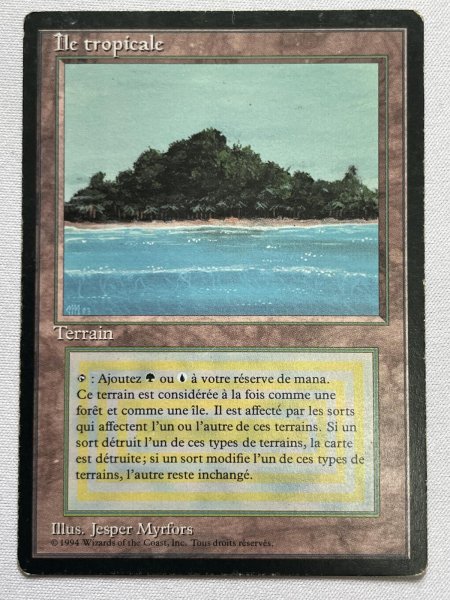 画像1: フランス語《Tropical Island》[FBB] HP (1)