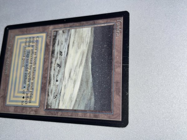 画像2: 《Tundra》[LEB] HP (2)