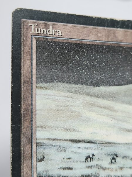 画像3: イタリア語 《Tundra》[FBB] HP Inked (3)