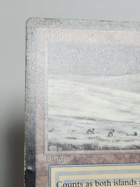 画像3: 《Tundra》[LEB] HP (3)