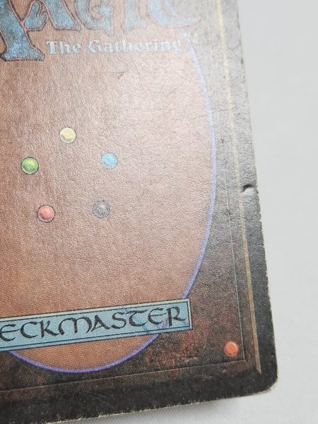 画像9: 《Tundra》[LEB] HP (9)