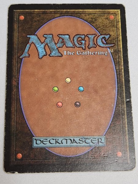 画像2: 《Tundra》[LEB] HP (2)