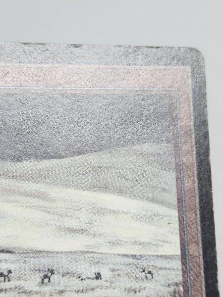 画像6: 《Tundra》[LEB] HP (6)