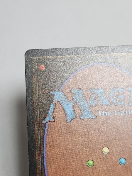 画像7: 《動く死体/Animate Dead》[SummerMagic] NM (7)