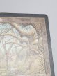 画像3: 《ガイアの揺籃の地/Gaea's Cradle》[USG] MP (3)