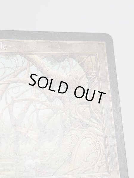 画像3: 《ガイアの揺籃の地/Gaea's Cradle》[USG] MP (3)